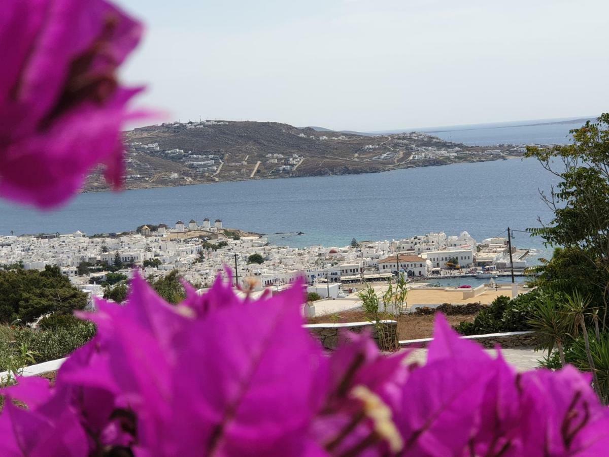 Bellou Suites Mykonos Town Esterno foto